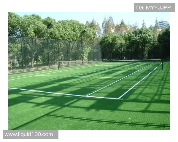 西安排球队战术解析：联合会杯中的表现与策略探讨